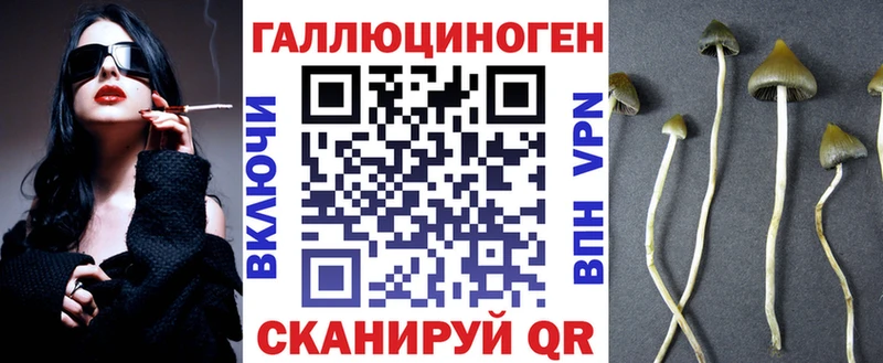 продажа наркотиков  Южно-Сухокумск  это клад  Псилоцибиновые грибы Magic Shrooms 